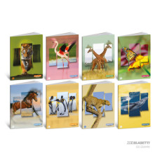 BLASETTI ANIMAL LABEL QUADERNO GRANDE 20 FOGLI 100 GR -B-  TERZA ELEMENTARE CONF.10 PEZZI