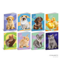 Blasetti quaderno grande 80 gr Best Friends rigo -c- con margine conf.10 pz