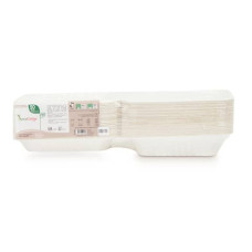 BOX MONOSCOMPARTO BIOCOMPOSTABILI ECOCANNYTAKE AWAY BIANCO 200X200X70 MM CONF. DA 50 PEZZI - ECO-HB08