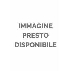 BUSTA IN PPL PERLATO FLORIO CARTA - CONF. 100 PZ FANTASIE ASSORTITE FORMATO 20X35 CM - X461063254017