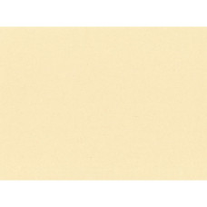 TOVAGLIETTE MONOUSO NAPPAGE IN CARTA PAGLIA 30X40 CM CREMA - CONF. 500 PZ - EYTVT1130