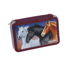 ASTUCCIO A 2 ZIP DONAU FANTASIE ASSORTITE - CONFEZIONE DA 6 PEZZI - 322297 ASTUCCIO A 2 ZIP DONAU FANTASIE ASSORTITE - CONFEZIONE DA 6 PEZZI - 322297