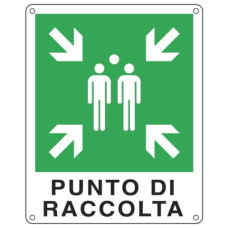 CARTELLO DEMERGENZA 25X31 CM - CARTELLI SEGNALATORI PUNTO DI RACCOLTA E20153X