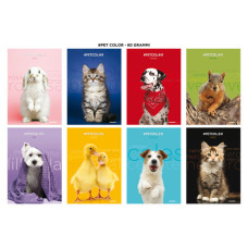 MAXI QUADERNO BLASETTI PET A4 80 G/M² - CONFEZIONE DA 10 PEZZI - 0B 7902 MAXI QUADERNO BLASETTI PET A4 80 G/M² - CONFEZIONE DA 10 PEZZI - 0B 7902