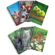 ESPOSITORE 60 MINI QUADERNI SPIRALATI DONAU - 50 FOGLI DA 70 G/M² - FANTASIA ANIMALI - 330385960 ESPOSITORE 60 MINI QUADERNI SPIRALATI DONAU - 50 FOGLI DA 70 G/M² - FANTASIA ANIMALI - 330385960