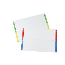 CARTONCINI DI RICAMBIO BERTESI PER CARTELLE SOSPESE CASSETTO 30X22X2 CM ASSORTITI  CONF. 10 PEZZI - 032 10