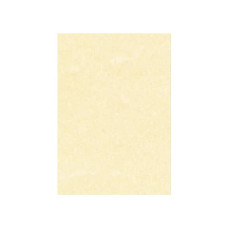 CARTA PERGAMENATA DECADRY LINEA CORPORATE A3 CHAMPAGNE 165 G/M² CONF. 25 FOGLI - T105027