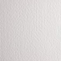 Fabriano 5 fogli 50x70 conf. 25 fg grana satinata 210