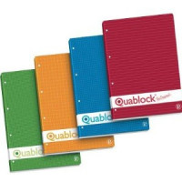 Pigna quablock 50 ff 80 gr a4 f.to 21x29,7 forati var. 5m