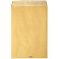 Pigna buste a sacco con soffietto 23x33 con strip 250 pz