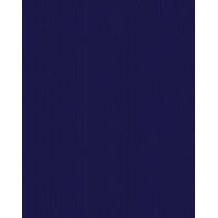 Carta regalo 70x100 conf.10 fg blu
