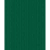 Carta regalo 70x100 conf.10 fg verde