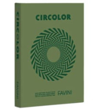CIRCOLOR CARTA RICICLATA COLORATA RISMA 500 FOGLI 80 GR  VERDE ROSMARINO