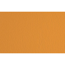 FABRIANO LR CARTONCINO 100X70 CM CONF.10FG - ARAGOSTA