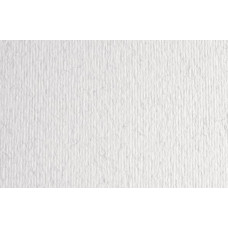FABRIANO LR CARTONCINO 100X70 CM CONF.10FG - BRINA