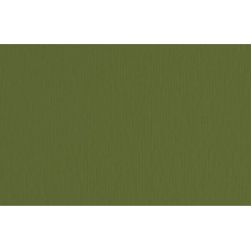 FABRIANO LR CARTONCINO 100X70 CM CONF.10FG - VERDONE