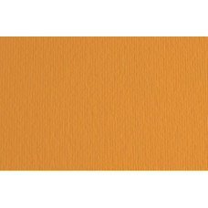 FABRIANO LR CARTONCINO 35X50 CONF.10FG 220GR - ARAGOSTA