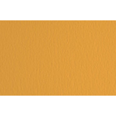 FABRIANO LR CARTONCINO 35X50 CONF.10FG 220GR - AVANA