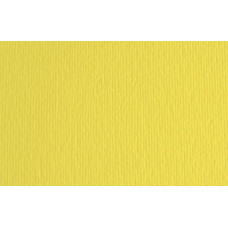 FABRIANO LR CARTONCINO 35X50 CONF.10FG 220GR - CEDRO