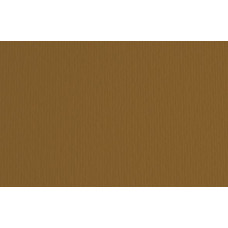 FABRIANO LR CARTONCINO 35X50 CONF.10FG 220GR - MARRONE