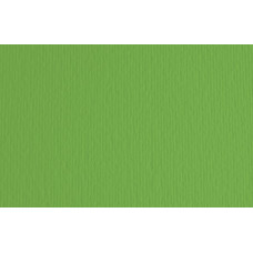 FABRIANO LR CARTONCINO 35X50 CONF.10FG 220GR - VERDE