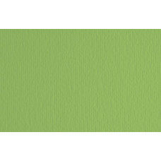 FABRIANO LR CARTONCINO 35X50 CONF.10FG 220GR - VERDE PISELLO