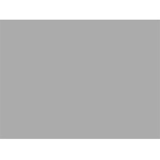 FABRIANO LR CARTONCINO 50X70 CONF.20FG - GRIGIO PERLA