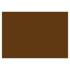 FABRIANO LR CARTONCINO 50X70 CONF.20FG - MARRONE