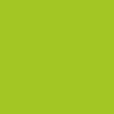 FABRIANO LR CARTONCINO 50X70 CONF.20FG - VERDE PISELLO