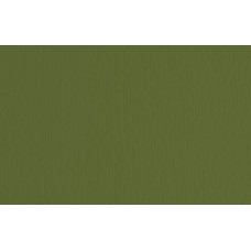 FABRIANO LR CARTONCINO 50X70 CONF.20FG - VERDONE