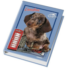 RACCOGLITORE 4 ANELLI DIAM. 30 FANTASIE ASSORTITE CUCCIOLI