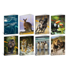 BLASETTI ANIMALI QUADERNO GRANDE 20 FOGLI 100GR QUADRETTO -0Q- 5MM CON MARGINE CONF.10 PEZZI