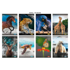 BLASETTI ANIMALI QUADERNO GRANDE 20 FOGLI 80 GR QUADRETTO -10F- CON MARGINE CONF.10 PEZZI