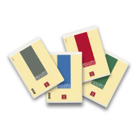 Pigna styl block notes a4 a righe