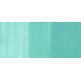 COPIC CIAO PANTONE PENNARELLO SUPER BRUSH E MEDIUM BROAD BG13 MINT GREEN