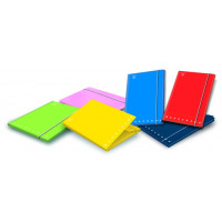 Pigna monocromo cartella con alette con elastico d.so 1.2