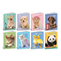 Blasetti quaderno grande 80 gr cuccioli -c- conf.10