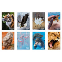 Blasetti quaderno grande 80 gr animal wild life -1r- conf.10