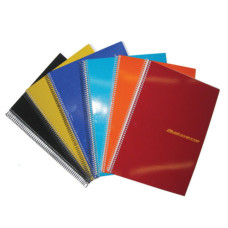 BLUEKOVER UNIVERSITY QUADERNO A SPIRALE SPESSO A4 288 PG QUADRETTI 4MM CON FORI