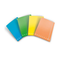 Pigna monocromo fluo cartelle con alette con elastico d.so 1,2