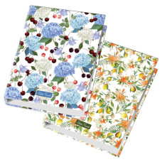 BLASETTI RACCOGLITORE 4 ANELLI 26X32 Ø 30 PETITS FRUITS