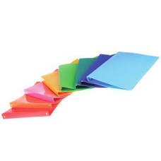 RACCOGLITORE A 4 ANELLI LACCATO PPL A4 D.30 MM