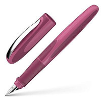 SCHNEIDER PENNA STILOGRAFICA RAY BOYSENBERRY