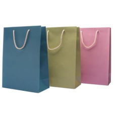 BORSA KRAFT COLOR MIX 24*14*19,5CM. CF.12 SHOPPER