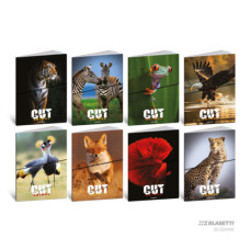BLASETTI ANIMAL CUT QUADERNO GRANDE 20 FOGLI 80 GR RIGO -B- CON MARGINE CONF.10 PEZZI