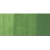 COPIC CIAO PENNARELLO SUPER BRUSH E MEDIUM BROAD YG67 MOSS
