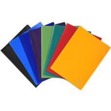 EXACOMPTA PORTALISTINO LINEA OPACO 30 BUSTE COLORI ASSORTITI