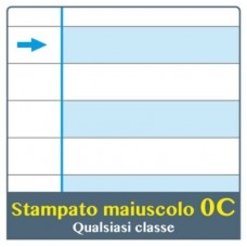 ONE COLOR QUADERNO PER DISGRAFICI MAXI C 100GR CONF.6
