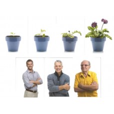MAXIFOTO SEQUENZE IL TEMPO E LA CRESCITA