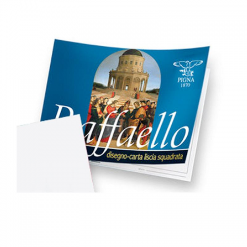 10 fogli ALBUM DA DISEGNO PIGNA RAFFAELLO QUADRETTI 10 mm 24x33 cm